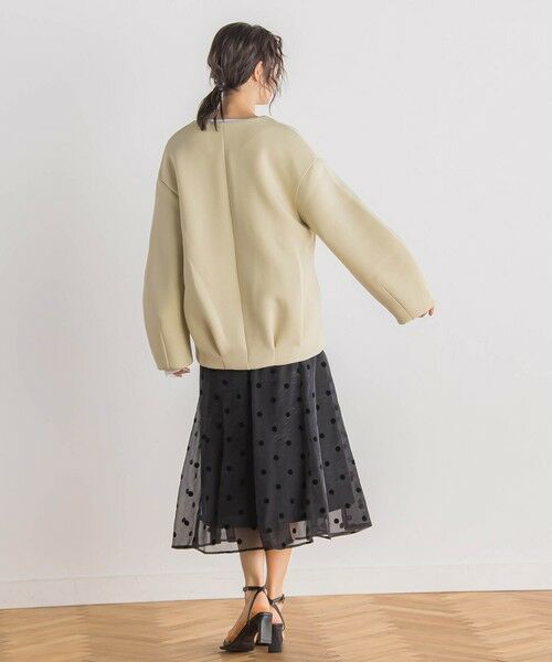 Droite lautreamont / ドロワットロートレアモン ミニ・ひざ丈スカート | 【WEB限定】オーガンジードットフレアスカート | 詳細21