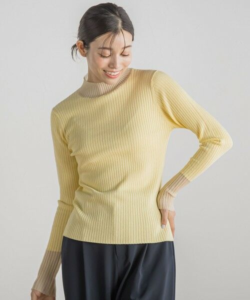 Droite lautreamont / ドロワットロートレアモン ニット・セーター | シアー切替RIBニット≪手洗い可能≫ | 詳細29