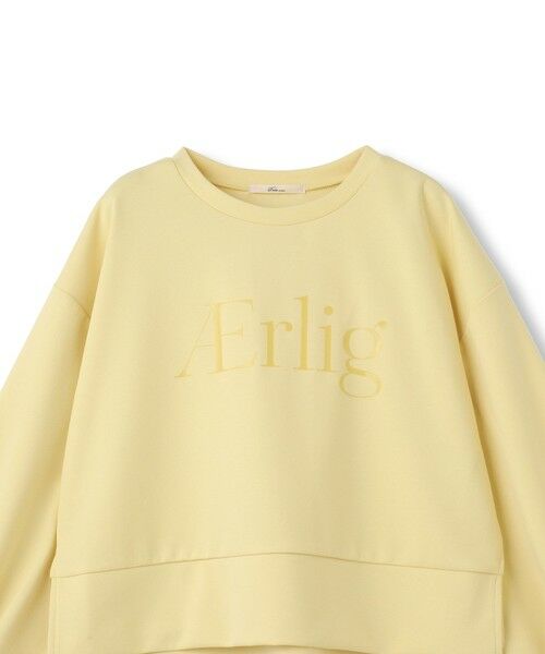 Droite lautreamont / ドロワットロートレアモン カットソー | 【WEB限定】クリアロゴプリントプルオーバー≪洗濯機で洗える≫ | 詳細30