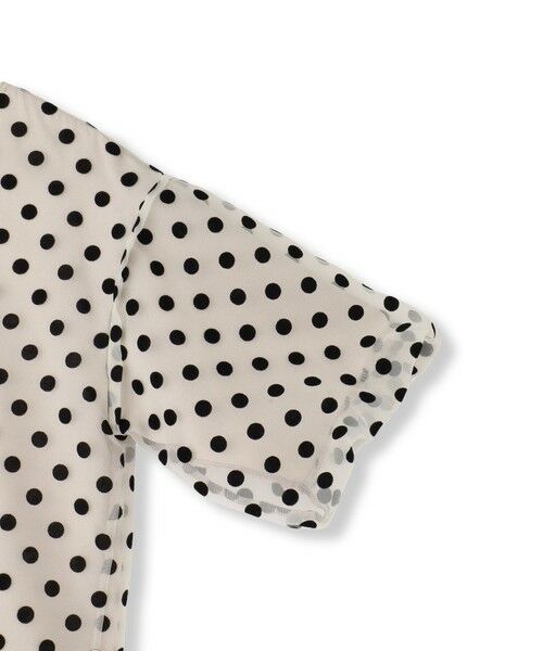 Droite lautreamont / ドロワットロートレアモン シャツ・ブラウス | フロッキードットブラウス≪手洗い可能≫ | 詳細18