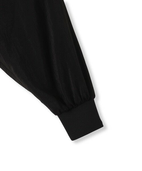 Droite lautreamont / ドロワットロートレアモン シャツ・ブラウス | グロスオーガンザZIPブルゾン≪手洗い可能≫ | 詳細19