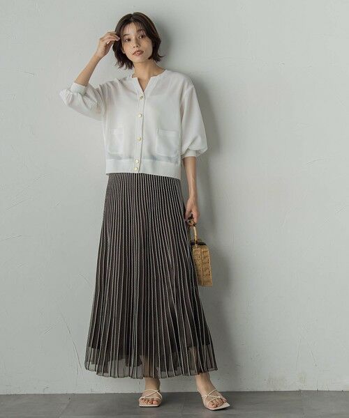 Droite lautreamont / ドロワットロートレアモン ミニ・ひざ丈スカート | シアーストライプスカート≪手洗い可能≫ | 詳細9