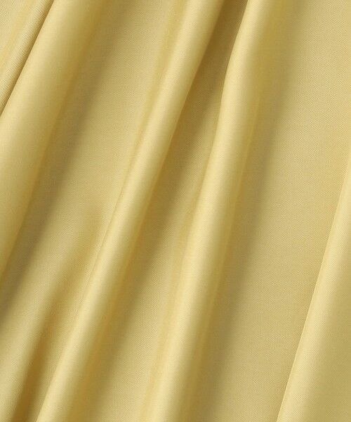 Droite lautreamont / ドロワットロートレアモン ミニ・ひざ丈スカート | フィブリルシャンブレースカート | 詳細16