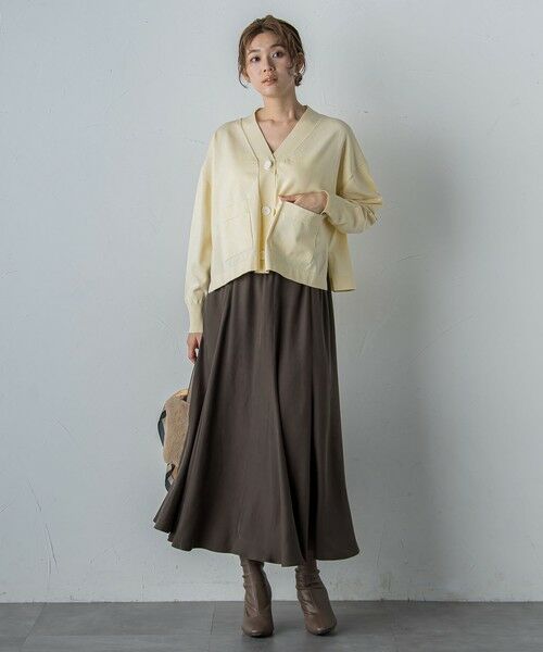 Droite lautreamont / ドロワットロートレアモン ミニ・ひざ丈スカート | フィブリルシャンブレースカート | 詳細17