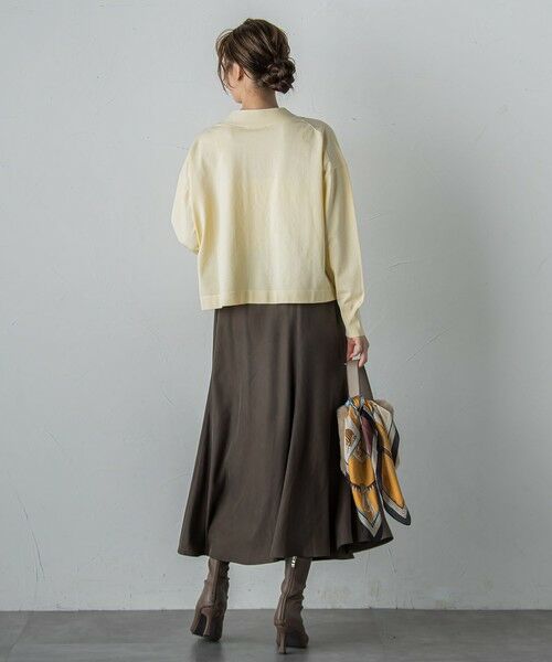 Droite lautreamont / ドロワットロートレアモン ミニ・ひざ丈スカート | フィブリルシャンブレースカート | 詳細19