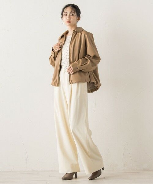 Droite lautreamont / ドロワットロートレアモン カットソー | ラメフロッキードットプルオーバー≪手洗い可能≫ | 詳細1