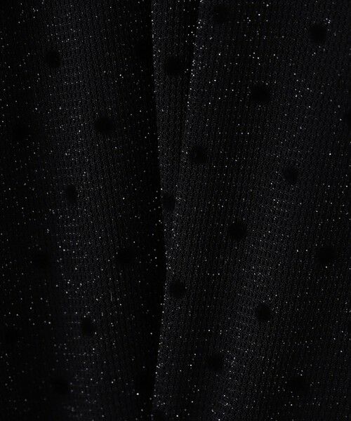 Droite lautreamont / ドロワットロートレアモン カットソー | ラメフロッキードットプルオーバー≪手洗い可能≫ | 詳細21