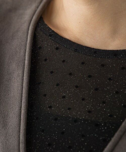 Droite lautreamont / ドロワットロートレアモン カットソー | ラメフロッキードットプルオーバー≪手洗い可能≫ | 詳細19
