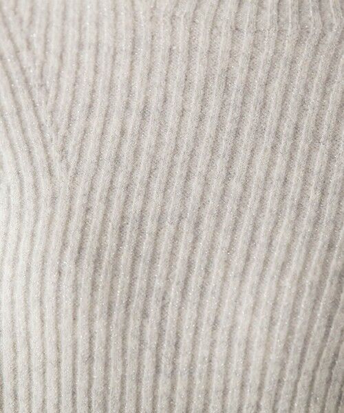 Droite lautreamont / ドロワットロートレアモン ニット・セーター | 【WEB限定カラーあり】ラメボトルネックプルオーバー≪手洗い可能≫ | 詳細20