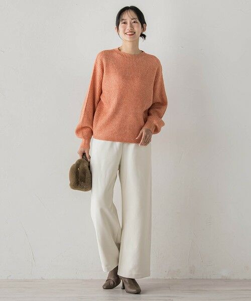 Droite lautreamont / ドロワットロートレアモン ニット・セーター | 【WEB限定カラーあり】ラメボトルネックプルオーバー≪手洗い可能≫ | 詳細24