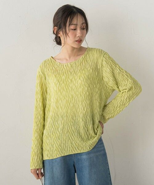 Droite lautreamont / ドロワットロートレアモン カットソー | 【WEB限定】フリルジャガードクルーネックプルオーバー | 詳細19