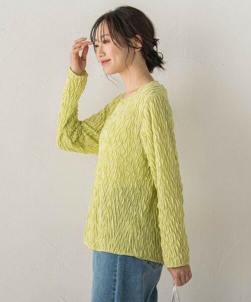 Droite lautreamont / ドロワットロートレアモン カットソー | 【WEB限定】フリルジャガードクルーネックプルオーバー | 詳細20