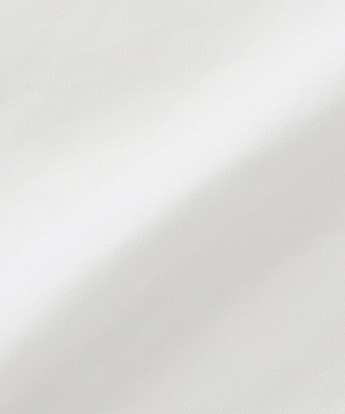 EPOCA / エポカ シャツ・ブラウス | 【SACRA】シアーシャツ《WEB＆EPOCA THE SHOP店舗限定》 | 詳細6