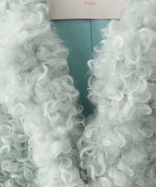 EPOCA / エポカ その他アウター | 【LEMONPLET】エコファーファーリージャケット《WEB＆EPOCA THE SHOP店舗限定》 | 詳細3