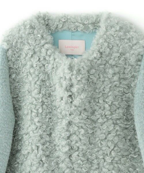 EPOCA / エポカ その他アウター | 【LEMONPLET】エコファーファーリージャケット《WEB＆EPOCA THE SHOP店舗限定》 | 詳細2