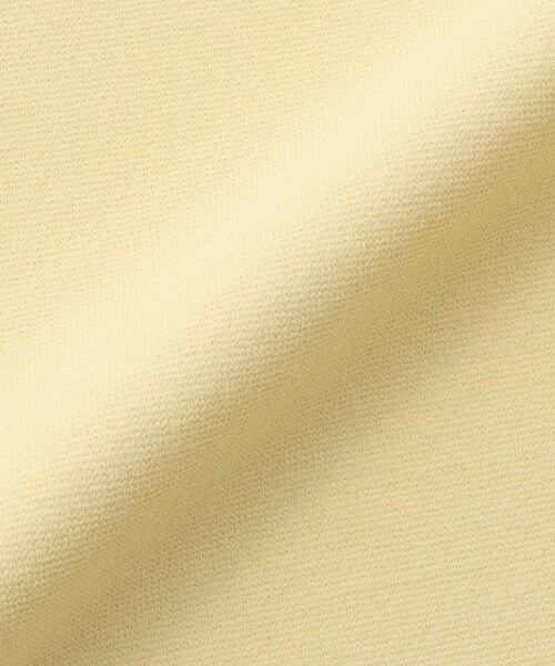 EPOCA / エポカ ニット・セーター | ロングリブスリーブニット プルオーバー | 詳細8