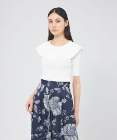 EPOCA / エポカ ニット・セーター | ワイドリブカラーニット プルオーバー