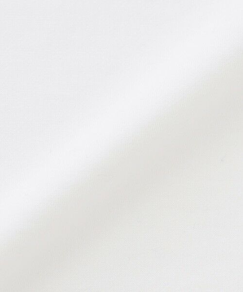 EPOCA / エポカ カットソー | 【SACRA】クロップドカットソー《WEB＆EPOCA THE SHOP店舗限定》 | 詳細6