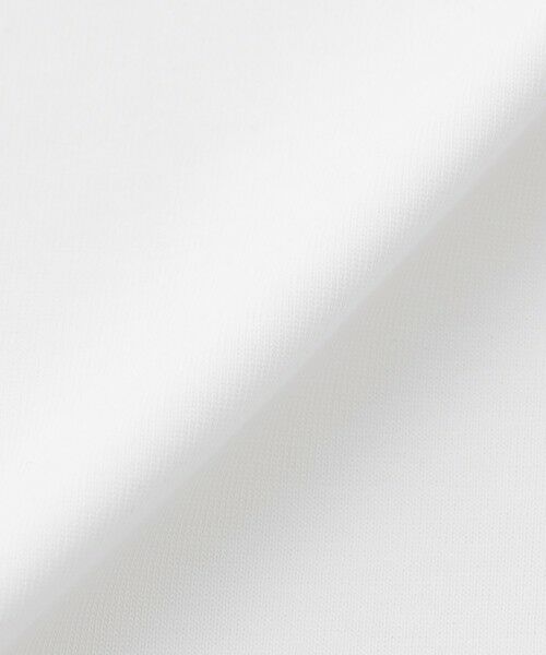EPOCA / エポカ カットソー | 【SACRA】クロップドカットソー《WEB＆EPOCA THE SHOP店舗限定》 | 詳細6
