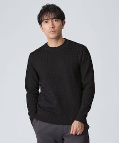 EPOCA UOMO / エポカ　ウォモ その他トップス | クランククルーネックニット