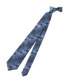 EPOCA UOMO / エポカ　ウォモ その他小物 | シルクタイ