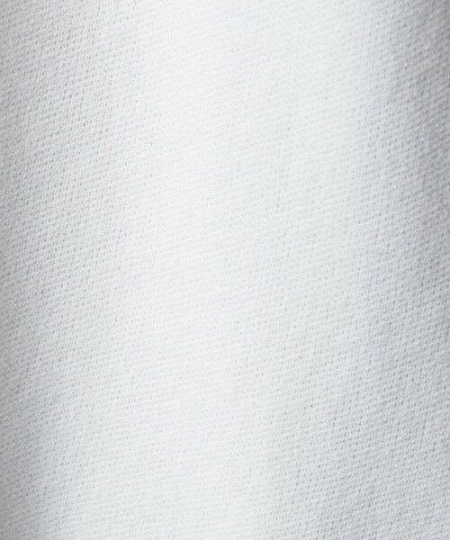EVEX by KRIZIA  (大きいサイズ) / エヴェックス バイ クリツィア (オオキイサイズ) ニット・セーター | 【L】【ウォッシャブル】パンサージャカードニット | 詳細14