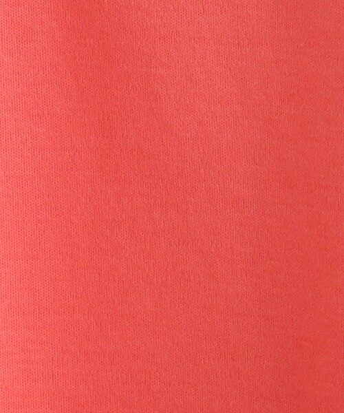 EVEX by KRIZIA  (大きいサイズ) / エヴェックス バイ クリツィア (オオキイサイズ) Tシャツ | 【L】【ウォッシャブル】ドローイングアニマルTシャツ | 詳細13