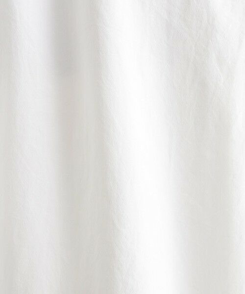 EVEX by KRIZIA  (大きいサイズ) / エヴェックス バイ クリツィア (オオキイサイズ) シャツ・ブラウス | ◆◆【L】【ウォッシャブル】ソフトタイプライターシャツ | 詳細9