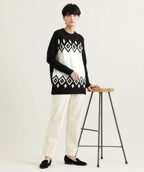 EVEX by KRIZIA  (大きいサイズ) / エヴェックス バイ クリツィア (オオキイサイズ) その他トップス | 【L】【ウォッシャブル】ウィンタージオメトリックジャカードニット | 詳細1