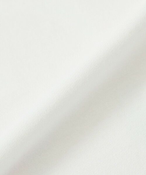 EVEX by KRIZIA  (大きいサイズ) / エヴェックス バイ クリツィア (オオキイサイズ) その他トップス | 【L】【接触冷感】【ウォッシャブル】グラフィカルビッグタイガープリントTシャツ | 詳細8