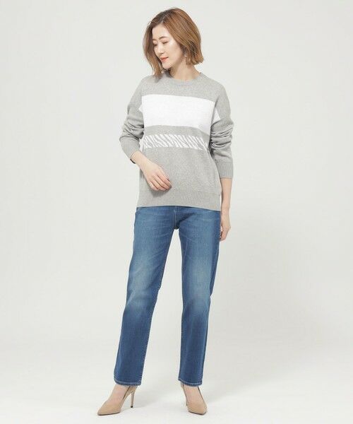 EVEX by KRIZIA  (大きいサイズ) / エヴェックス バイ クリツィア (オオキイサイズ) その他トップス | 【L】【ウォッシャブル】ゼブラボーダープルオーバーニット | 詳細1