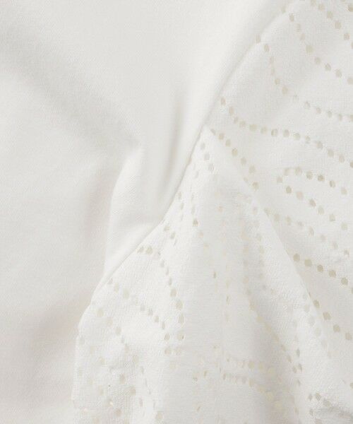 EVEX by KRIZIA  (大きいサイズ) / エヴェックス バイ クリツィア (オオキイサイズ) その他トップス | 【L】【ウォッシャブル】パンチングゼブラコンビカットソー | 詳細8