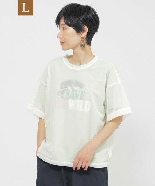 EVEX by KRIZIA (大きいサイズ)/エヴェックス バイ クリツィア (オオキイサイズ) 【L】【カタログ掲載品】【ウォッシャブル】ソフトシアーカットソー オフホワイト 44 EVEX by KRIZIA (大きいサイズ)/エヴェックス バイ クリツィア (オオキイサイズ) 【L】【カタログ掲載品】【ウォッシャブル】ソフトシアーカットソー オフホワイト 44