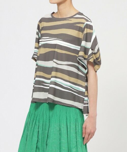 EVEX by KRIZIA  (大きいサイズ) / エヴェックス バイ クリツィア (オオキイサイズ) その他トップス | 【L】【カタログ掲載品】【接触冷感】【UV対策】【ウォッシャブル】コンチェロアニマルボーダーカットソー | 詳細5