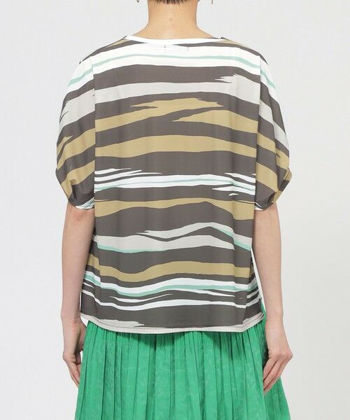 EVEX by KRIZIA  (大きいサイズ) / エヴェックス バイ クリツィア (オオキイサイズ) その他トップス | 【L】【カタログ掲載品】【接触冷感】【UV対策】【ウォッシャブル】コンチェロアニマルボーダーカットソー | 詳細6
