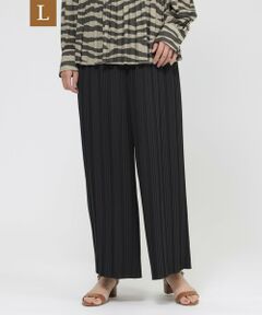 EVEX by KRIZIA  (大きいサイズ) / エヴェックス バイ クリツィア (オオキイサイズ) その他パンツ | 【L】【ウォッシャブル】デシンプリーツワイドパンツ