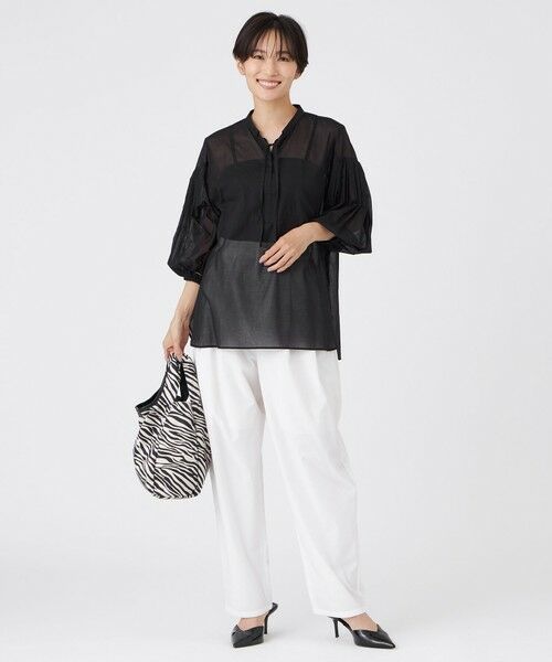 EVEX by KRIZIA  (大きいサイズ) / エヴェックス バイ クリツィア (オオキイサイズ) その他トップス | 【L】【接触冷感】【ウォシャブル】シアーボイルプルオーバーブラウス | 詳細1