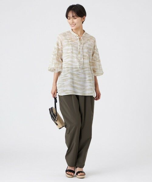 EVEX by KRIZIA  (大きいサイズ) / エヴェックス バイ クリツィア (オオキイサイズ) その他トップス | 【L】【接触冷感】【ウォシャブル】シアーボイルゼブラプルオーバーブラウス | 詳細1