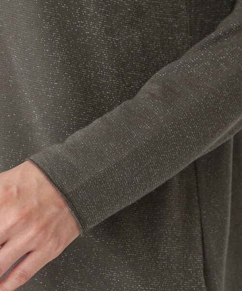 EVEX by KRIZIA  (大きいサイズ) / エヴェックス バイ クリツィア (オオキイサイズ) その他トップス | 【L】【ウォッシャブル】シアーラメジャージーハイネックカットソー | 詳細6