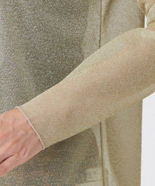 EVEX by KRIZIA  (大きいサイズ) / エヴェックス バイ クリツィア (オオキイサイズ) その他トップス | 【L】【マシンウォッシャブル】グリッタージャージーハイネックカットソー | 詳細5