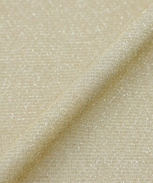 EVEX by KRIZIA  (大きいサイズ) / エヴェックス バイ クリツィア (オオキイサイズ) その他トップス | 【L】【マシンウォッシャブル】グリッタージャージーハイネックカットソー | 詳細6