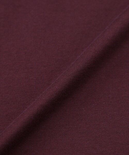 EVEX by KRIZIA  (大きいサイズ) / エヴェックス バイ クリツィア (オオキイサイズ) その他トップス | 【L】【接触冷感】【マシンウォッシャブル】スパンローンコンビカットソー | 詳細9