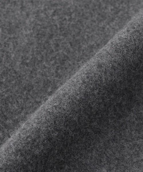 EVEX by KRIZIA  (大きいサイズ) / エヴェックス バイ クリツィア (オオキイサイズ) その他アウター | 【L】【SANYO Style EDITION掲載】ウールスーパービーバーステンカラーコート | 詳細8