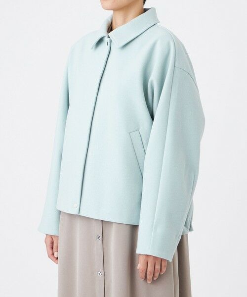 EVEX by KRIZIA  (大きいサイズ) / エヴェックス バイ クリツィア (オオキイサイズ) テーラードジャケット | 【L】【カタログ掲載】【ウォッシャブル】ウールライクジャージ—ブルゾン | 詳細5