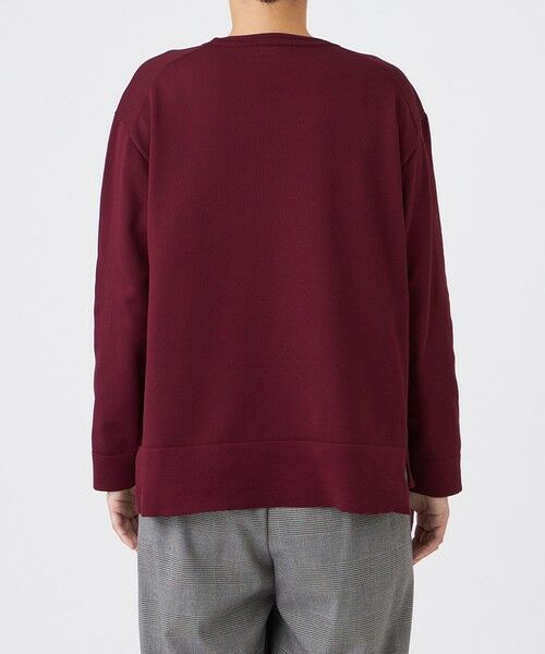 EVEX by KRIZIA  (大きいサイズ) / エヴェックス バイ クリツィア (オオキイサイズ) その他トップス | 【L】【100回洗える】【カタログ掲載】テックスブリッドニットプルオーバー | 詳細6