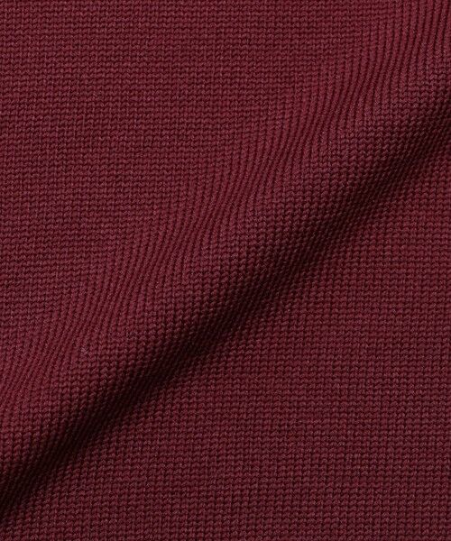 EVEX by KRIZIA  (大きいサイズ) / エヴェックス バイ クリツィア (オオキイサイズ) その他トップス | 【L】【100回洗える】【カタログ掲載】テックスブリッドニットプルオーバー | 詳細10