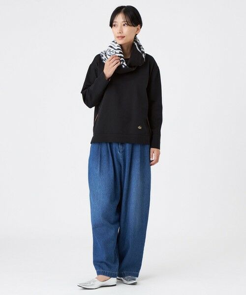 EVEX by KRIZIA  (大きいサイズ) / エヴェックス バイ クリツィア (オオキイサイズ) その他トップス | 【L】【100回洗える】【カタログ掲載】テックスブリッドニットプルオーバー | 詳細1