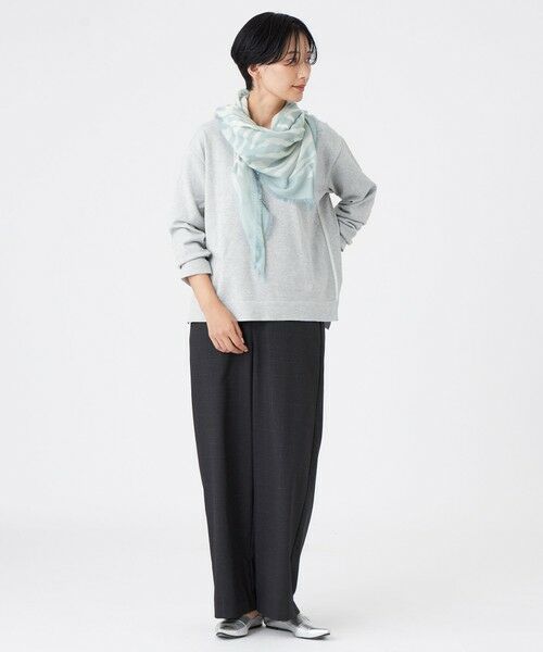 EVEX by KRIZIA  (大きいサイズ) / エヴェックス バイ クリツィア (オオキイサイズ) その他トップス | 【L】【マシンウォッシャブル】コットンブリッドニットプルオーバー | 詳細2