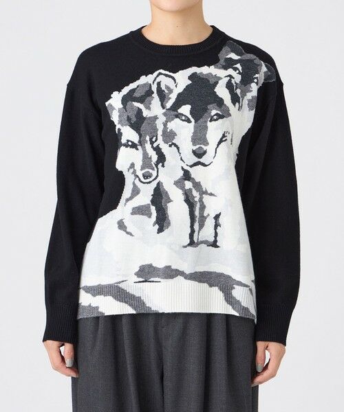 EVEX by KRIZIA  (大きいサイズ) / エヴェックス バイ クリツィア (オオキイサイズ) その他トップス | 【L】【カタログ掲載】【ウォッシャブル】ウルフインターシャニットプルオーバー | 詳細2