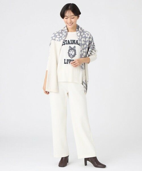 EVEX by KRIZIA  (大きいサイズ) / エヴェックス バイ クリツィア (オオキイサイズ) その他トップス | 【L】【SANYO Style EDITION掲載】【ウォッシャブル】ウルフカレッジロゴニットプルオーバー | 詳細1